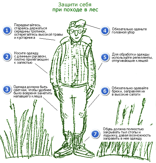 Меры защиты от клещей - переносчиков боррелиоза