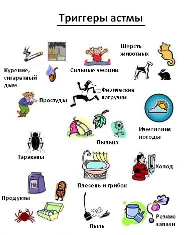 Факторы внешней среды, влияющие на течение и обострение бронхальной астмы