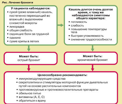 Ориентировочная схема лечения бронхита