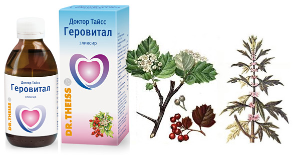 Препарат Геровитал. УП «Минскинтеркапс» Республика Беларусь